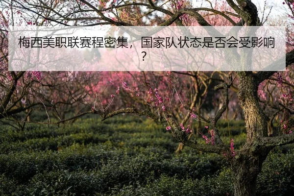 梅西美职联赛程密集，国家队状态是否会受影响？